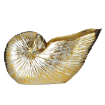 Picture of Glamour Seashell